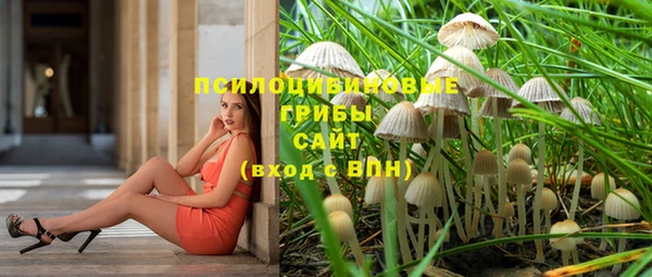 крисы Алексеевка