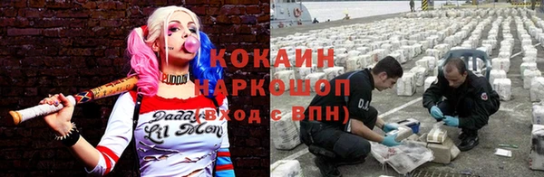 бошки Алзамай