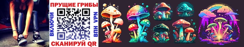 купить наркоту Калтан Псилоцибиновые грибы Cubensis